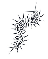 A black and white illustration of a centipede with tentacles and legs. A long, drawn insect with many limbs. They are predatory arthropods belonging to the class Chilopoda.