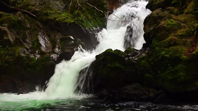  a video of Falls Creek falls in Olympic National Park Washington State