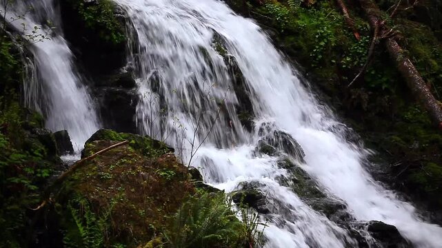 a video of a waterfall in Olympic National Park Washington State
