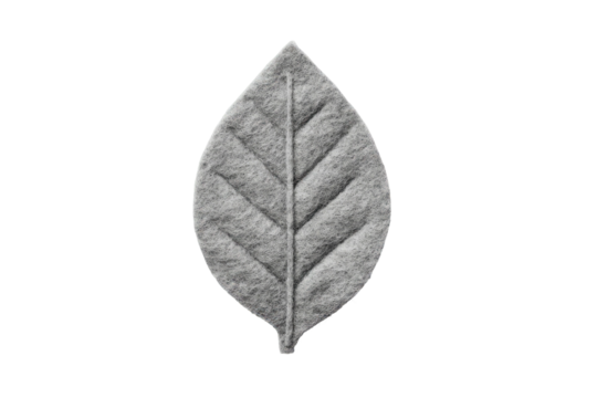 Simple gray leaf with prominent veins on a black background