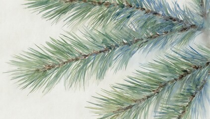 Watercolor depiction of pine branches against a light background