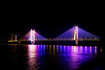 ein Hund, der das Haus bewacht