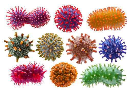 Set of various viruses, microbes and bacteria, isolated on a transparent or white background