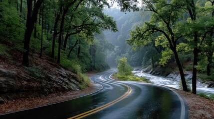 Fototapeta premium A winding road through a lush, green forest with a river, glistening after rain