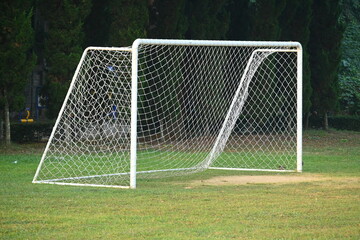 goal of football on green grass background, object of sport