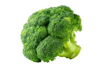 Green broccoli head on black. Fresh and healthy vegetable