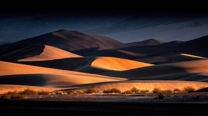Dramatic sand dunes bathed in golden light.