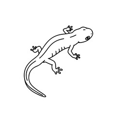 Fototapeta premium Simple lizard gecko silhouette isolated illustration, minimal black line animal reptile drawing vector design