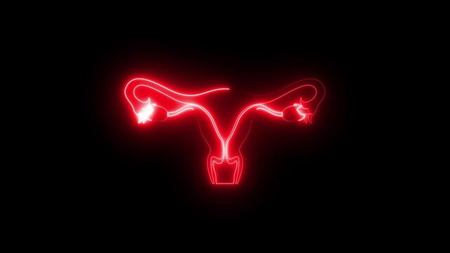 Neon uterus icon animation on black background, glowing female reproductive system symbol, fertility health anatomy outline, bright medical neon loop, gynecology uterus diagram