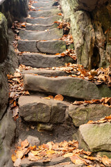 Old Stone Steps Covered with Leaves Old stone staircase covered with fallen autumn leaves in forest.