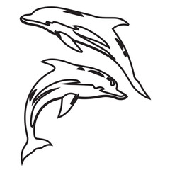 Dolphins Illustration