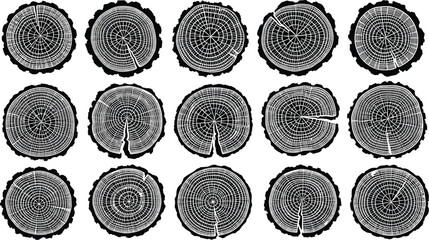Tree rings cross sections showing detailed annual growth patterns, natural wood textures, dendrochronology slices, organic circular designs, forestry scientific study imagery