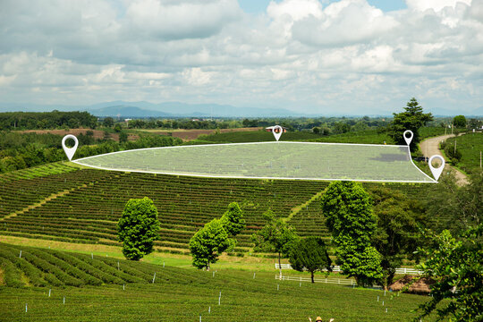 Land survey layout on a green hillside featuring plotted boundaries and location markers. Perfect for real estate listings, property development, rural investment, and conceptual mapping visuals.