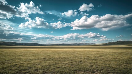 The desolate beauty of the Mongolian Steppe, an endless expanse of sparse grassland under a vast, dramatic, windswept sky, a sense of profound solitude and freedom.