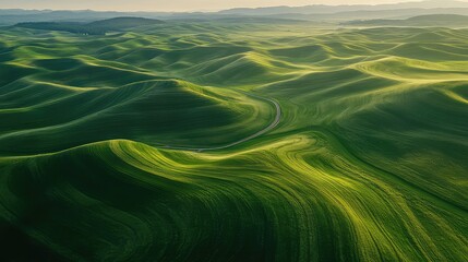 Obraz premium The endless, rolling green hills of the Palouse in Washington state, with abstract patterns created by wheat fields and farmland, soft morning light emphasizing the smooth contours, aerial 