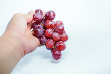 Hand holding a lush bunch of fresh red or purple grapes on a white background, symbolizing harvest, healthy snack, and natural food