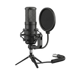 Professional studio condenser microphone with pop filter isolated on transparent background