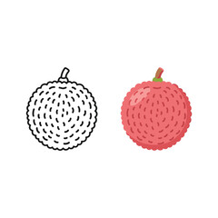 Lychee outline and color vector illustration isolated on