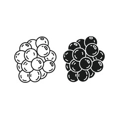Bunch of elderberries isolated on, line and solid color art