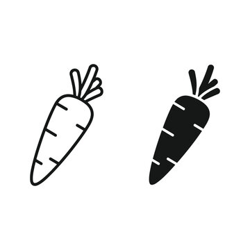 Carrot icon set, outline and filled versions, healthy vegetable food symbol