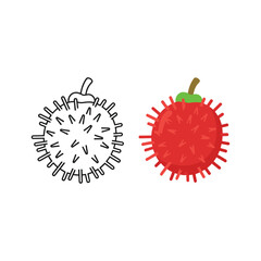 Rambutan fruit illustration with color and line art isolated on