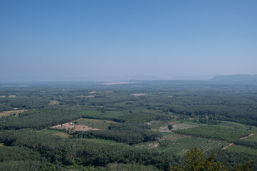 Naklejka premium Scenery view of the plantation field seen from Phu Sing forest park in Bueng Kan province of Thailand. 