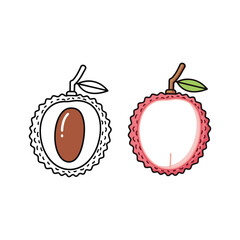 Lychee fruit line art and colored version isolated on