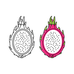 Dragon fruit isolated on in color and line art style