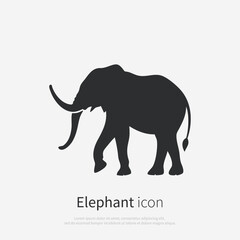 Elephant animal silhouette icon. Minimalistic black shape. Vector illustration.