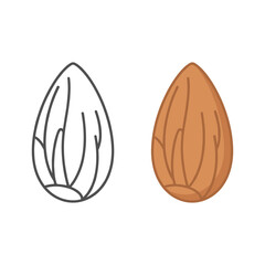 Almond isolated on, one in color and one line