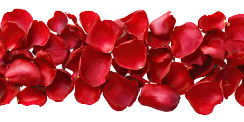 Heaped, vibrant red rose petals on a black background