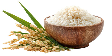 Rice in wooden bowl, with rice stalks