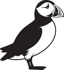 Obraz premium Black and white graphic illustration of a puffin bird standing on its feet with a white background