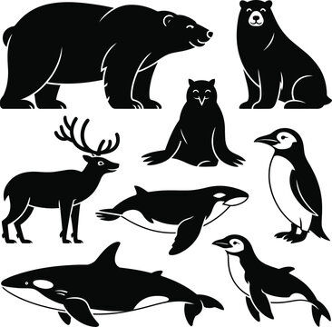 Animal Vector Bundle