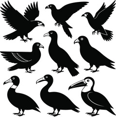 Animal Vector Bundle