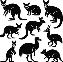 Obraz premium Animal Vector Bundle