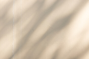 Naklejka premium Abstract natural tree branch leaves shadow on beige wall background