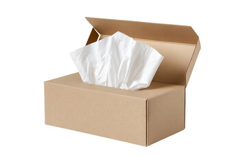 Brown cardboard box with soft white tissues sticking out