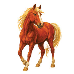 A beautifully illustrated chestnut horse with a flowing blonde mane and tail on a white background.