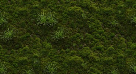 Obraz premium Lush green moss and grass texture vibrant dense natural and detailed