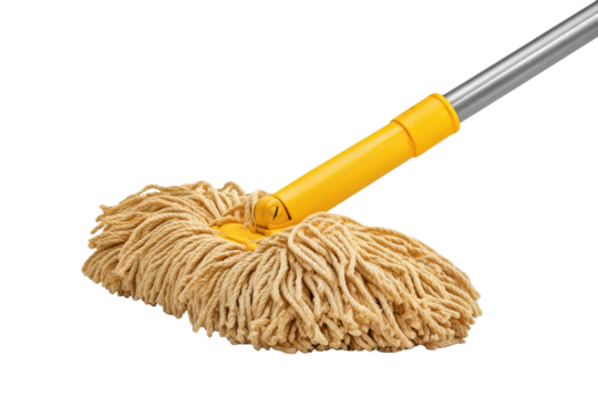 Floor mop with absorbent head