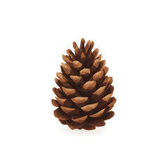 pine cone  on white
