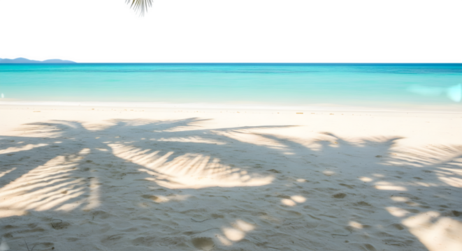 Idyllic tropical beach with turquoise water and palm tree shadows, a serene and relaxing getaway isolated on transparent background
