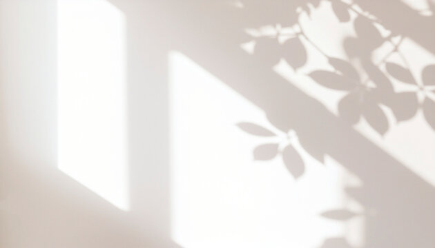 植物の影 白い壁 背景素材