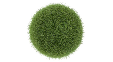Green moss ball isolated on transparent background, a decorative element for garden and interior design