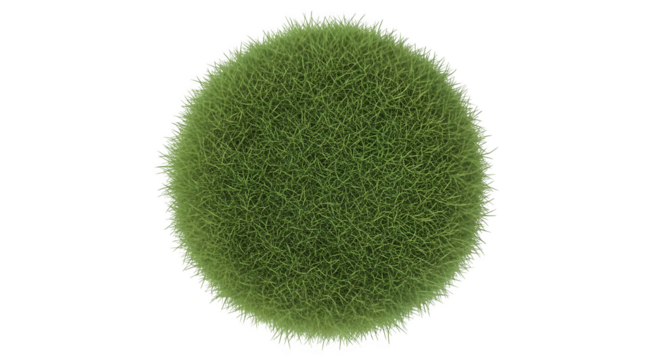 Green moss ball isolated on transparent background, a decorative element for garden and interior design