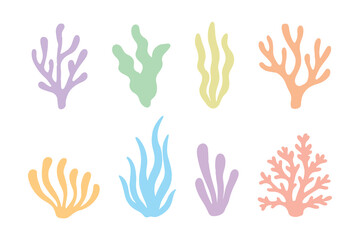 seaweeds planting marine algae and ocean corals collections