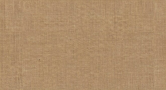 Brown burlap fabric with a visible woven texture creating a uniform slightly rough earthy background