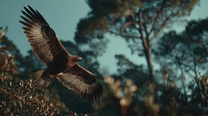A majestic eagle soars through the sky, showcasing its powerful wings against a backdrop of tall trees and nature's beauty.