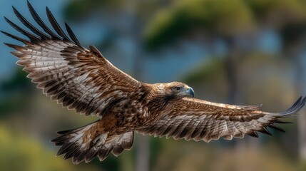 A majestic eagle soaring through the sky, showcasing its powerful wings and keen eyesight, embodying freedom and nature's beauty.